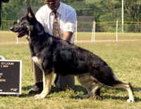 BOW.jpg (68157 bytes)