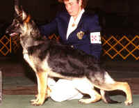 Beaniej.jpg (54336 bytes)