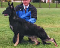 LEE DOG1.jpg (56781 bytes)