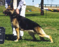 candij.jpg (59227 bytes)