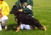 cokiej.jpg (55956 bytes)