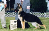 ludyj.jpg (58133 bytes)