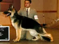 quarter2j.jpg (38650 bytes)